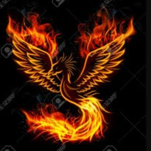 Meet your Posher, Lacey